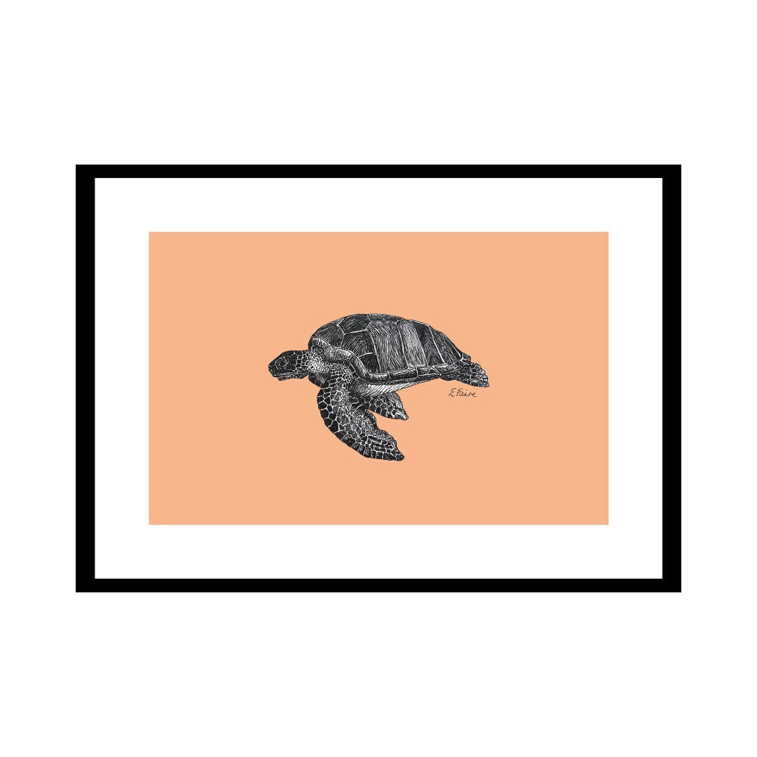 A3 'Terry' Turtle Print
