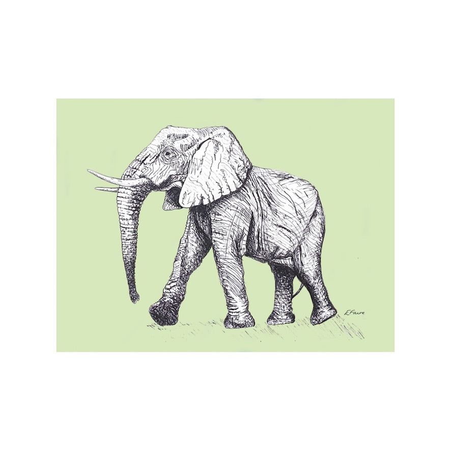 5 PASTEL 'Edward' Elephant Postcards