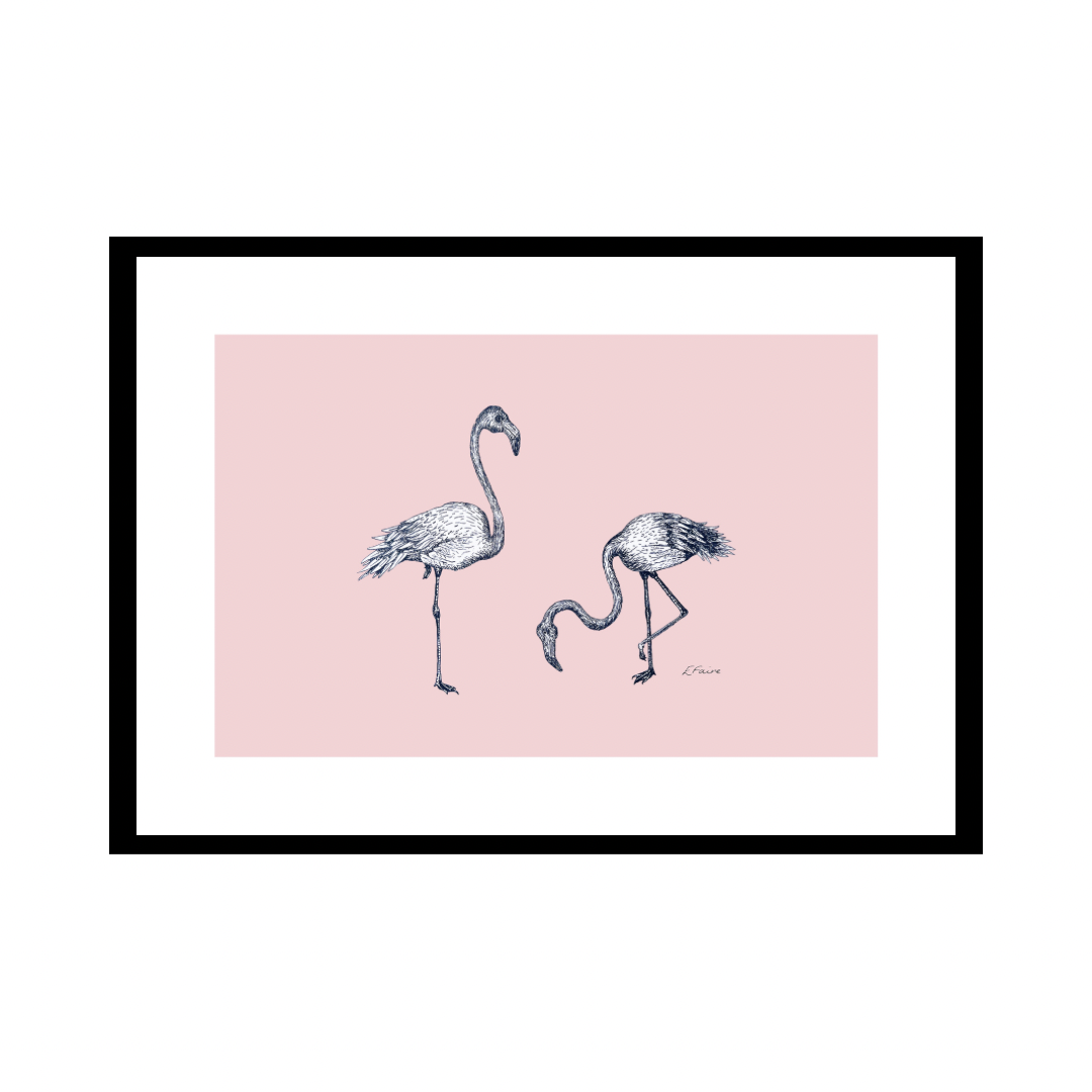 A3 'Frank & Felicity' Flamingoes Print