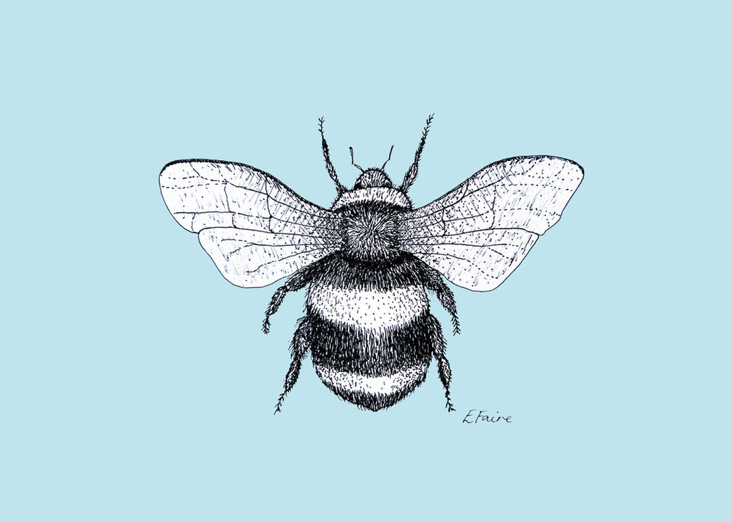 5 PASTEL 'Belinda' Bumblebee Postcards