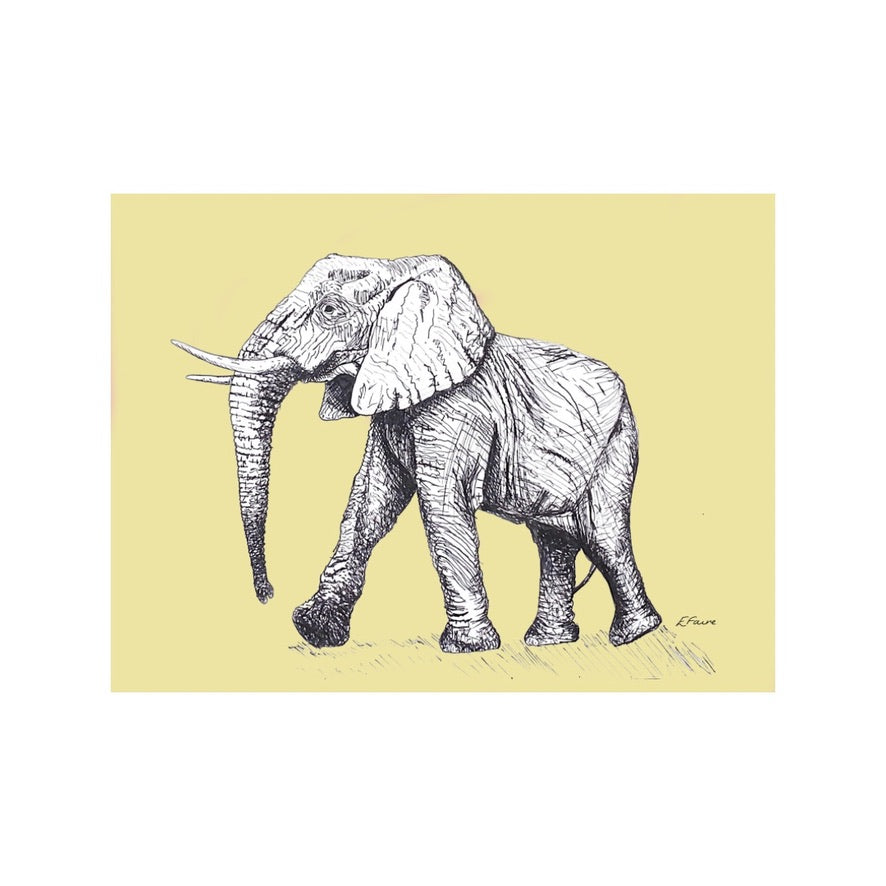 5 NEON 'Edward' Elephant Postcards