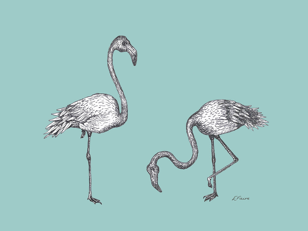 5 PASTEL 'Frank & Felicity' Flamingo Postcards