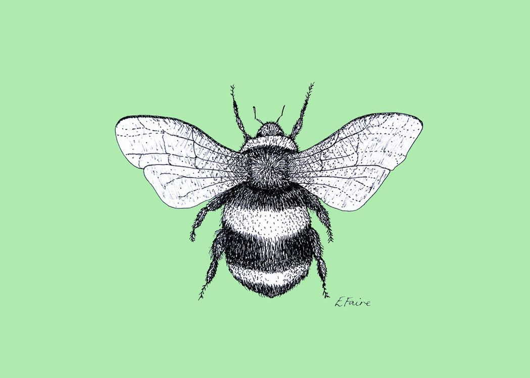 5 NEON 'Belinda' Bumblebee Postcards