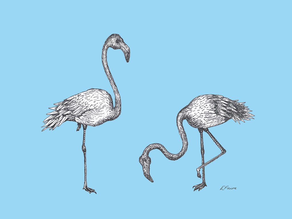 5 NEON 'Frank & Felicity' Flamingo Postcards
