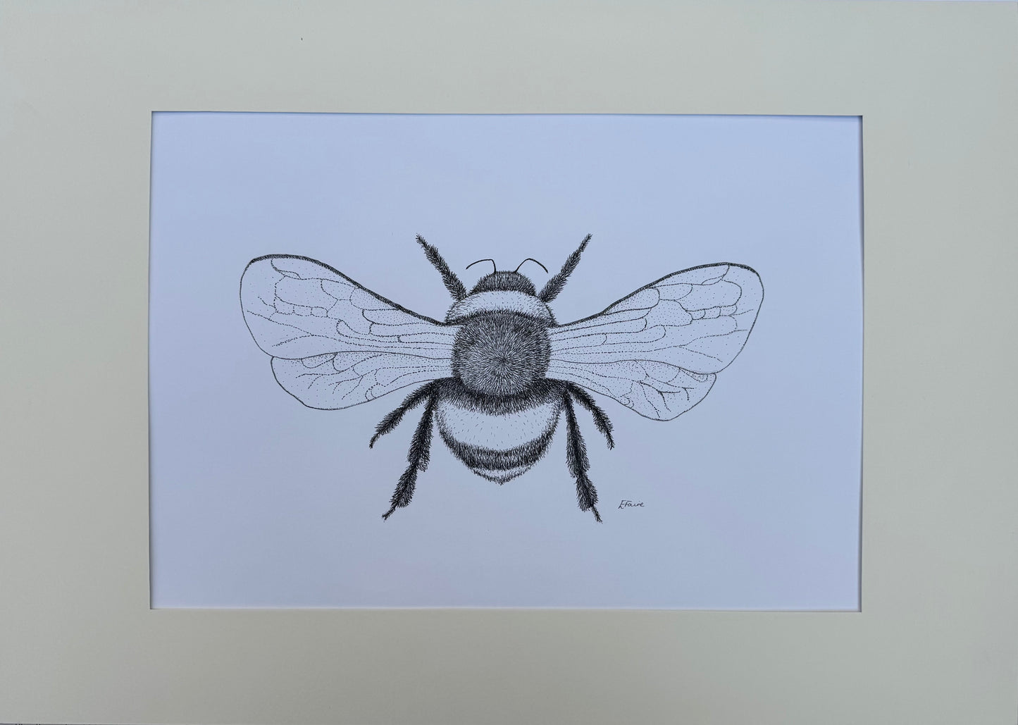 Bumblebee (A2 - Larger) Framed