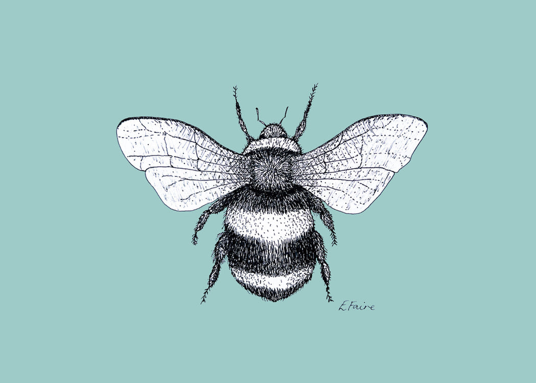 5 PASTEL 'Belinda' Bumblebee Postcards