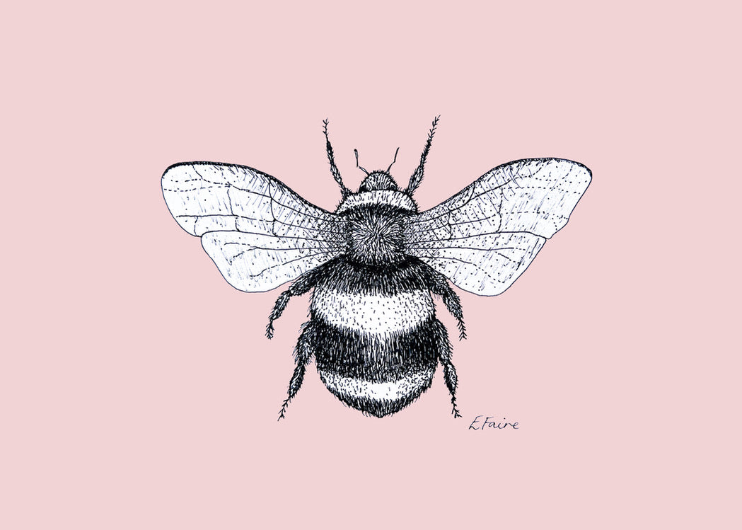5 PASTEL 'Belinda' Bumblebee Postcards