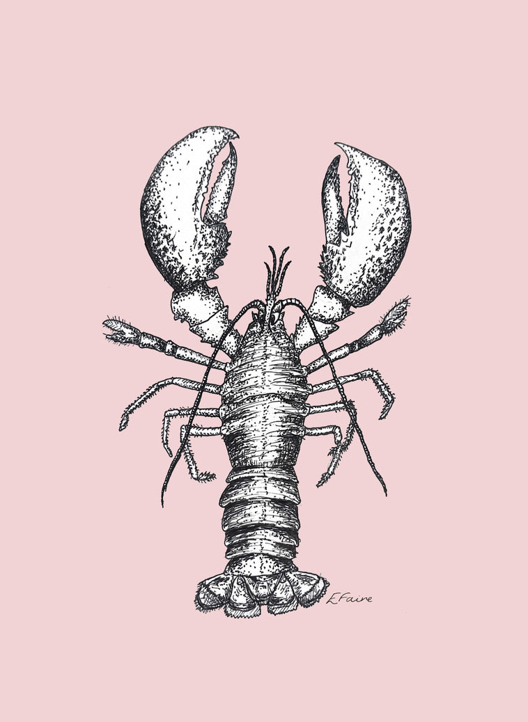 5 PASTEL 'Larry' Lobster Postcards