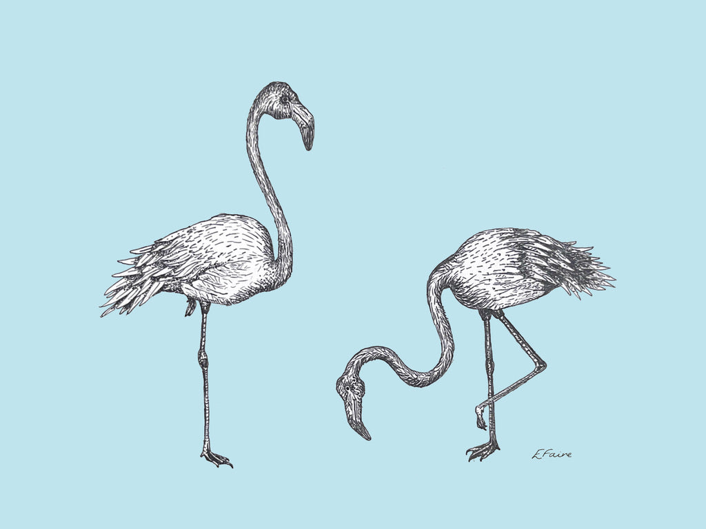 5 PASTEL 'Frank & Felicity' Flamingo Postcards