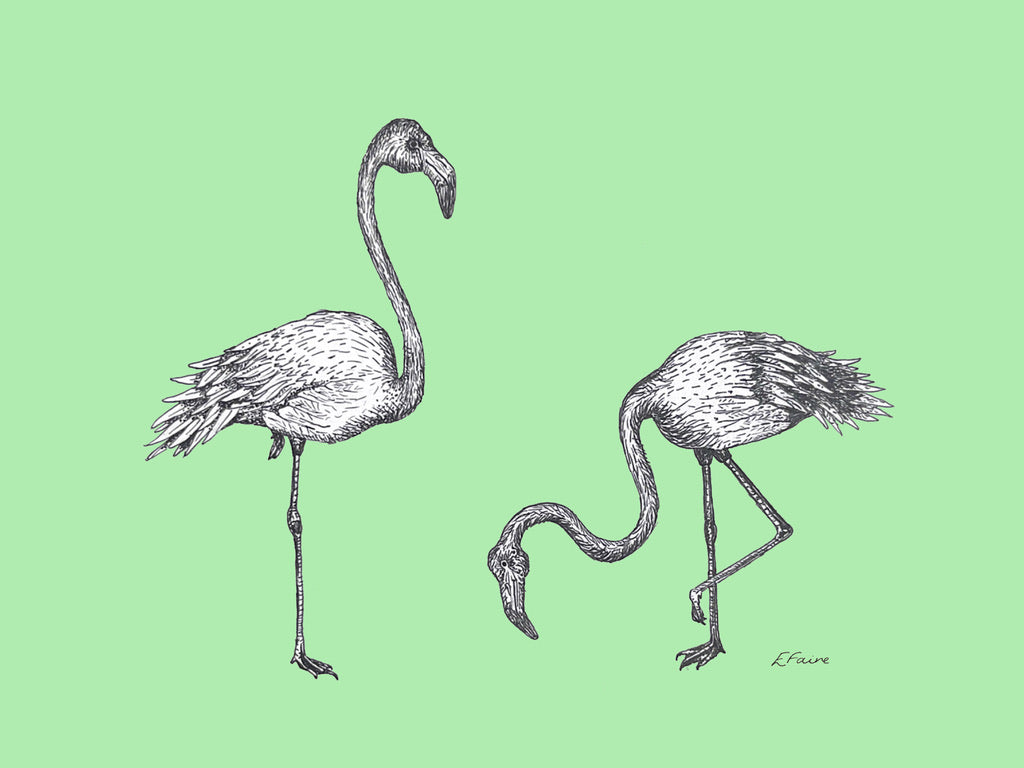 5 NEON 'Frank & Felicity' Flamingo Postcards