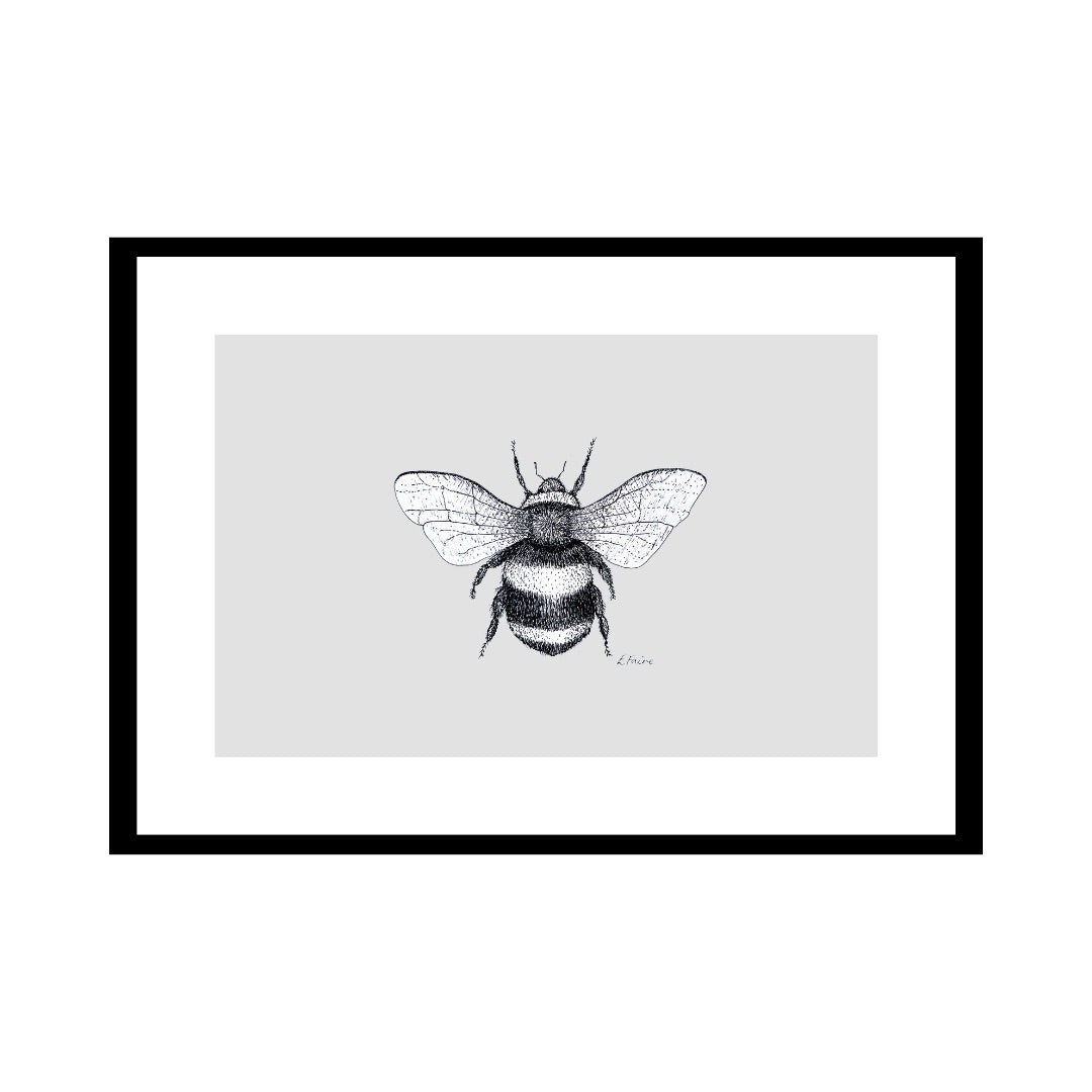 A3 'Belinda' Bumblebee Print