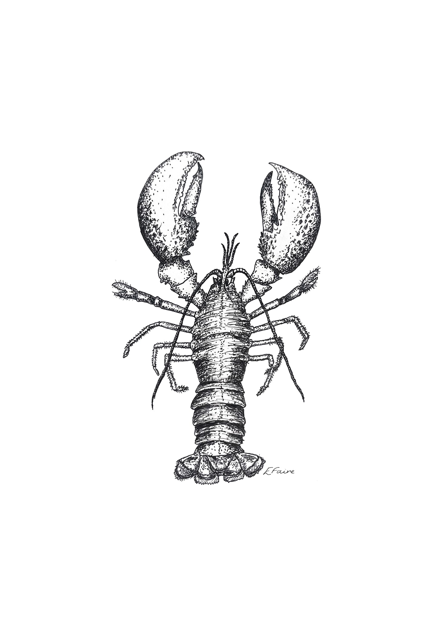 Larry Lobster A3 Print (White)