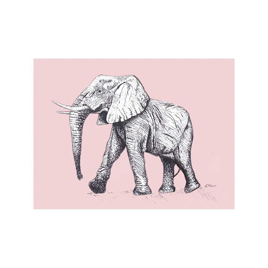 5 PASTEL 'Edward' Elephant Postcards