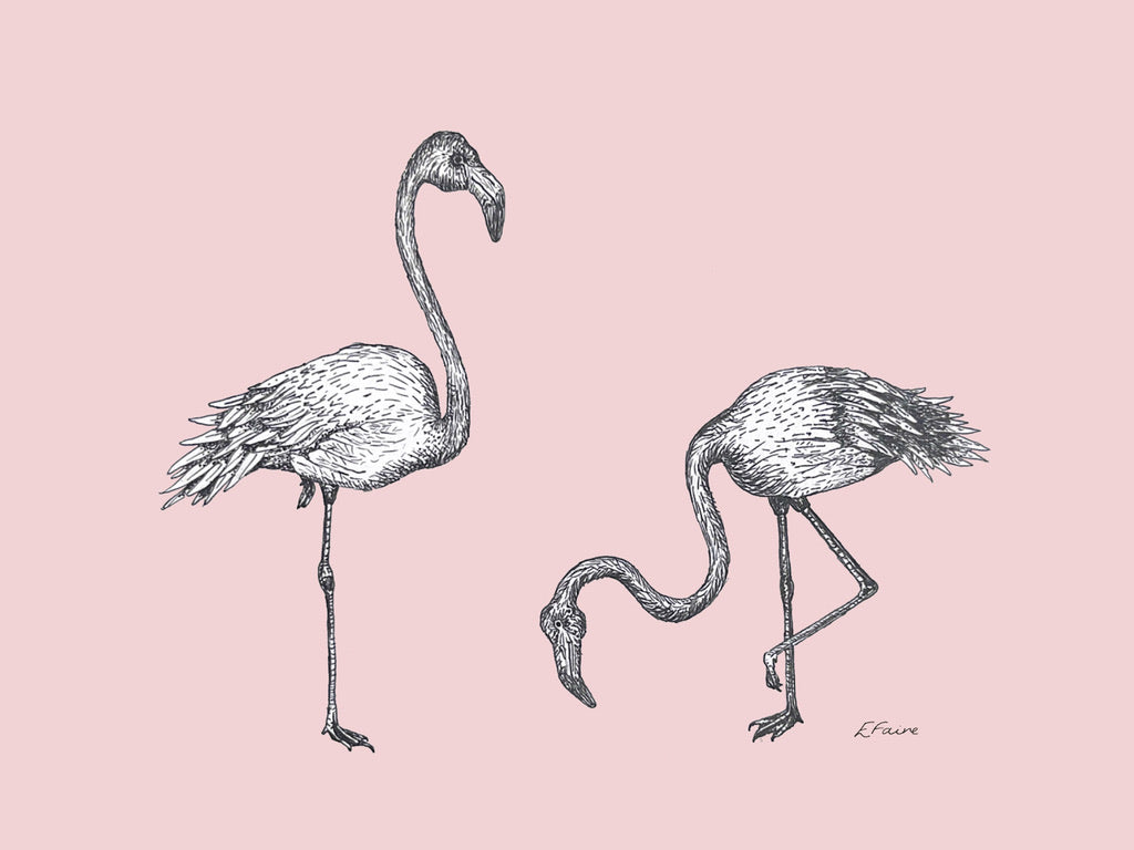 5 PASTEL 'Frank & Felicity' Flamingo Postcards