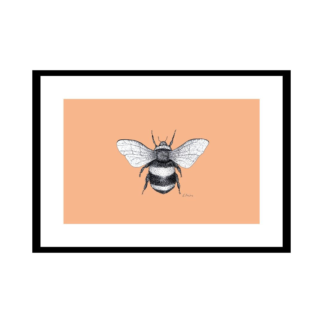A3 'Belinda' Bumblebee Print