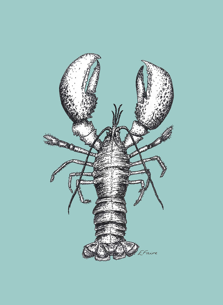 5 PASTEL 'Larry' Lobster Postcards