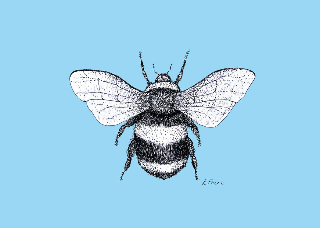 5 NEON 'Belinda' Bumblebee Postcards