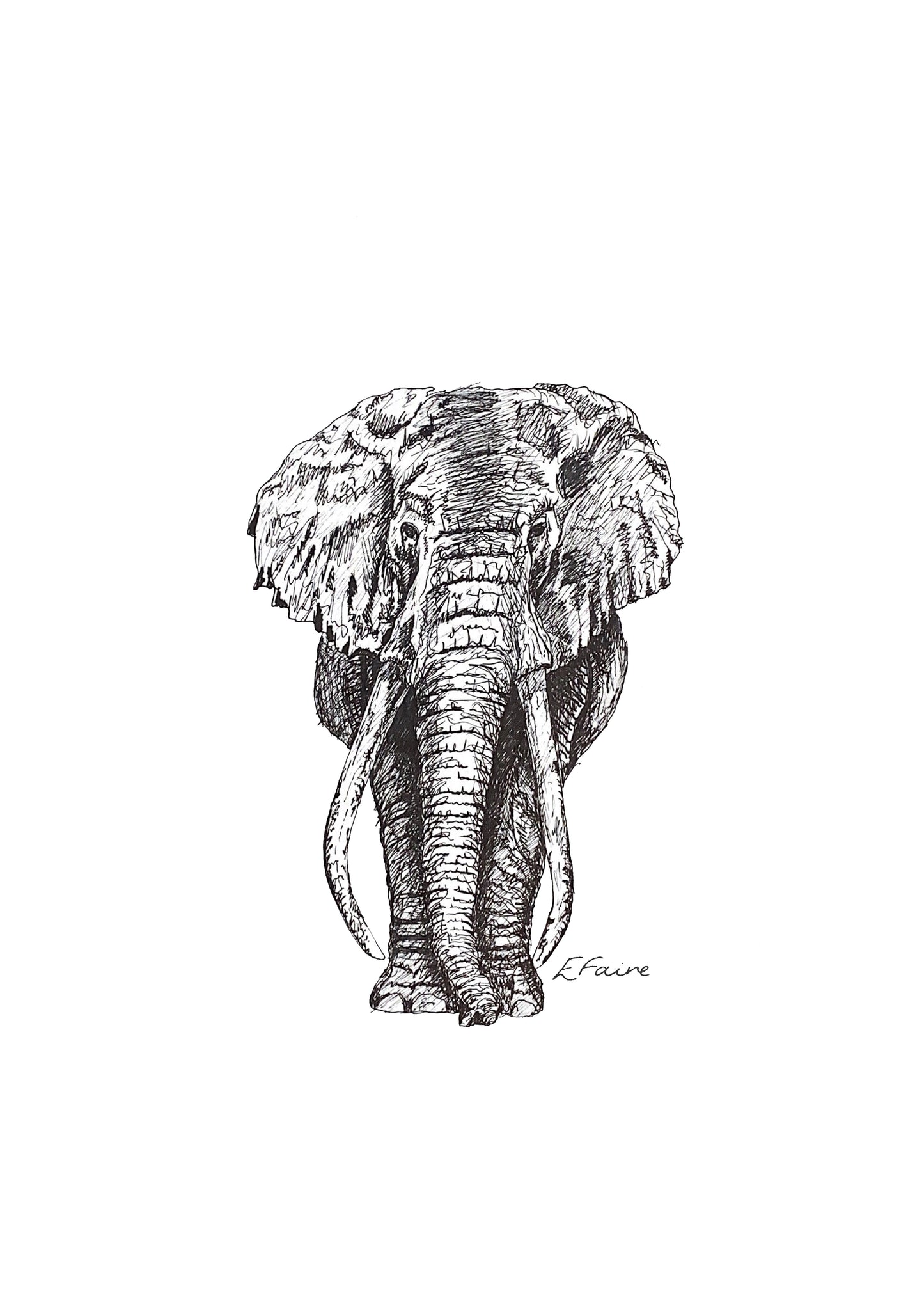 Ems Elephant A3 Print (White)