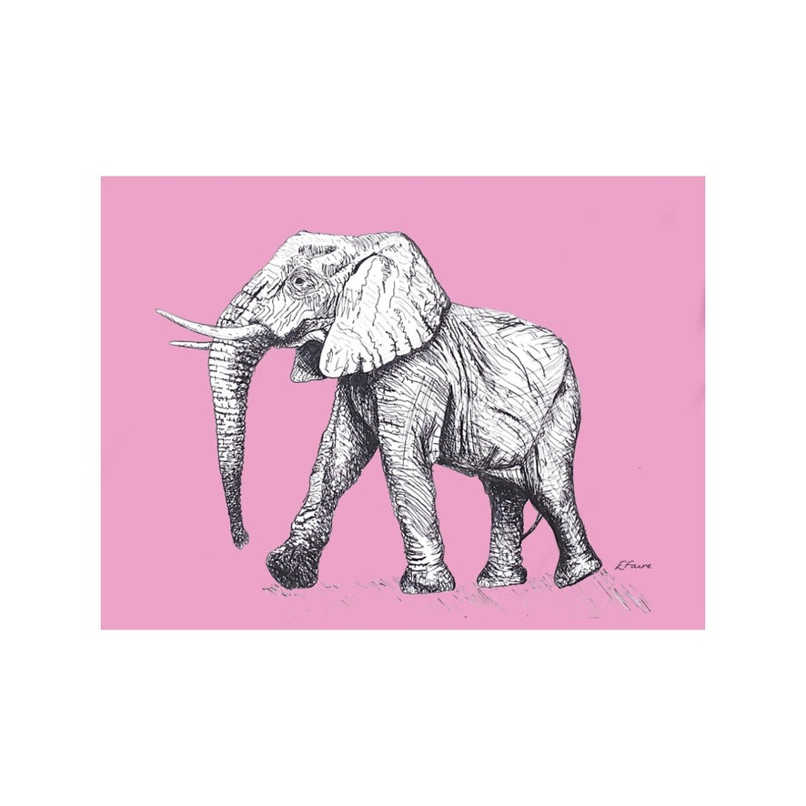 5 NEON 'Edward' Elephant Postcards