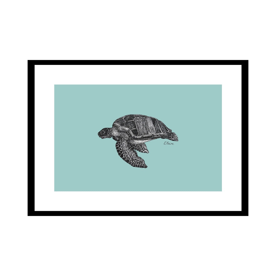 A3 'Terry' Turtle Print