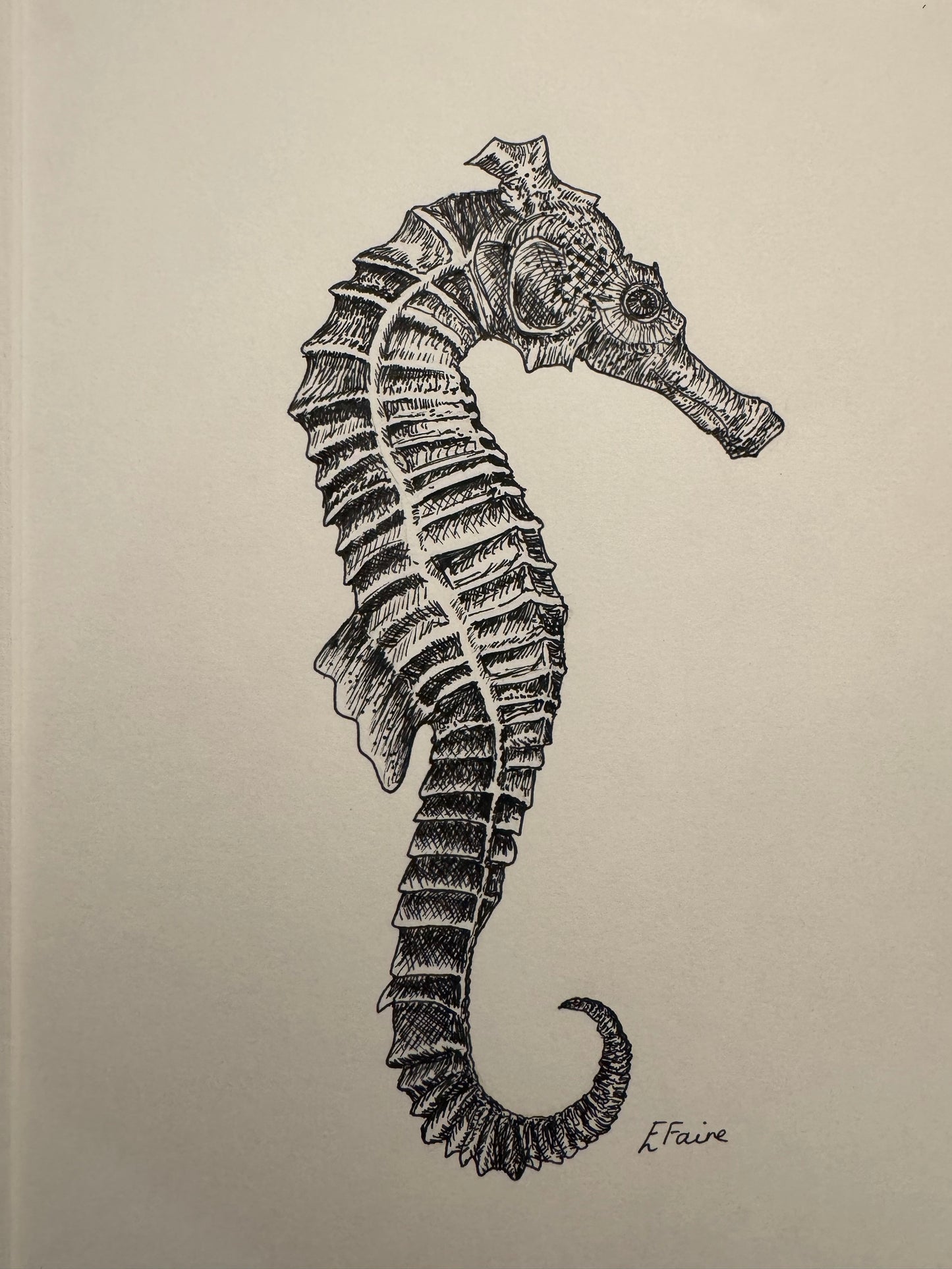 Sebastian Seahorse A3 Print (White)