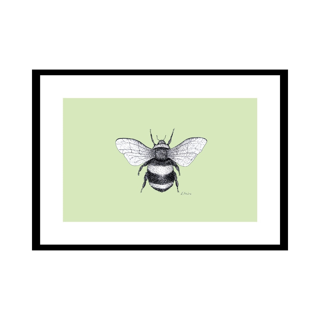 A3 'Belinda' Bumblebee Print