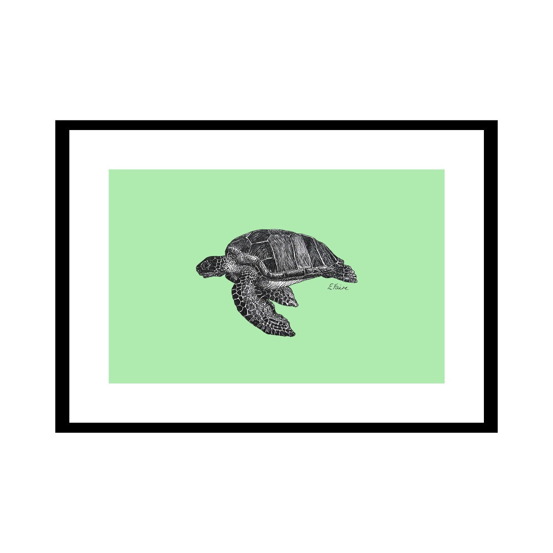 A3 'Terry' Turtle Print