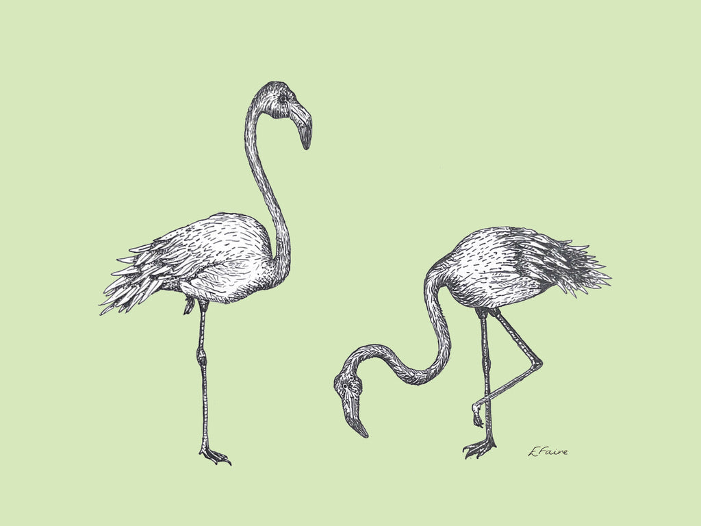 5 PASTEL 'Frank & Felicity' Flamingo Postcards