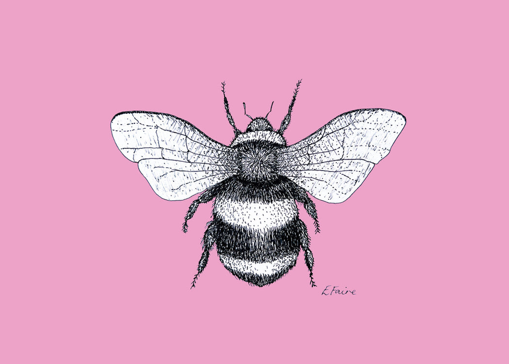 5 NEON 'Belinda' Bumblebee Postcards