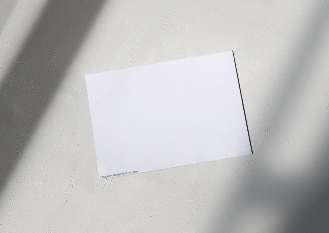 5 PASTEL 'Mills & Maverick' Mackerel Postcards