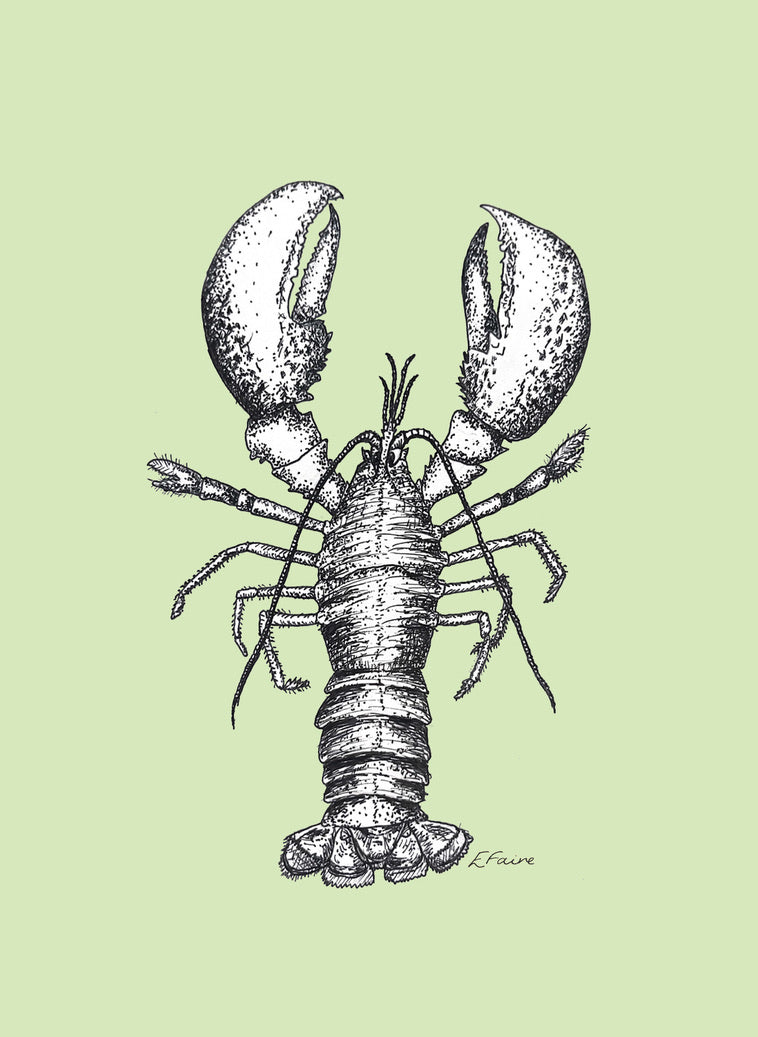 5 PASTEL 'Larry' Lobster Postcards