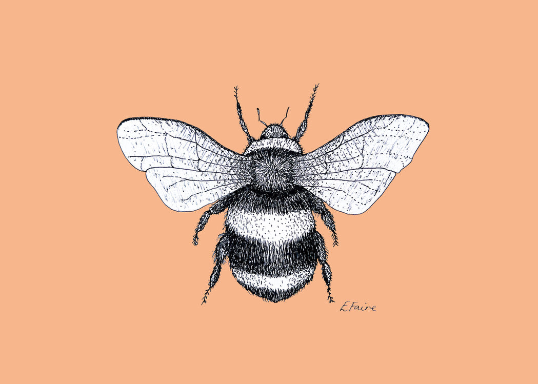 5 NEON 'Belinda' Bumblebee Postcards