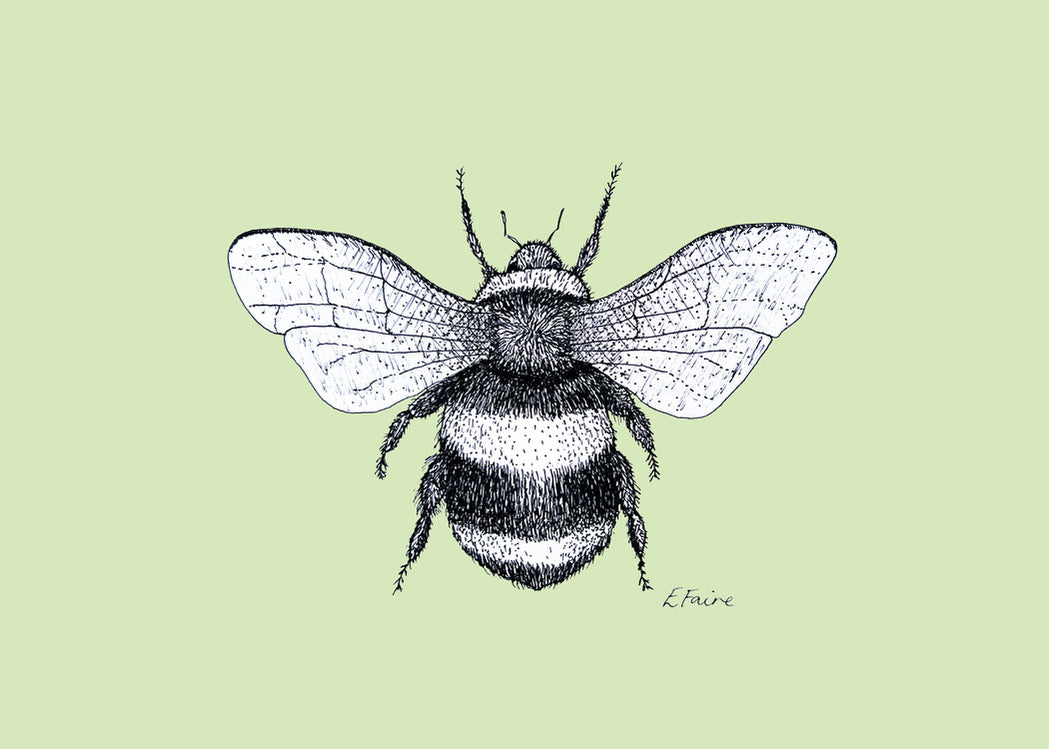 5 PASTEL 'Belinda' Bumblebee Postcards