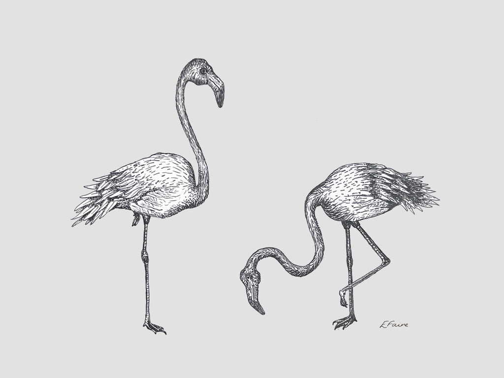 5 PASTEL 'Frank & Felicity' Flamingo Postcards
