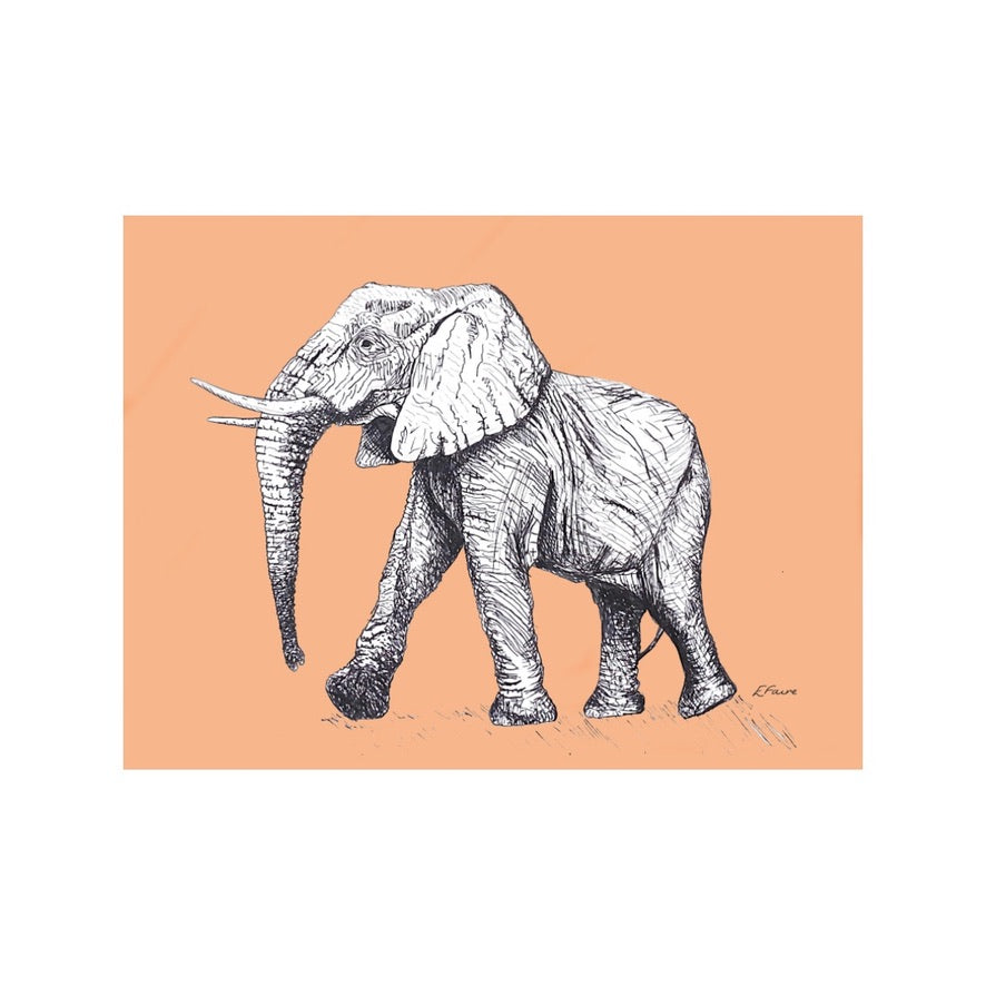 5 NEON 'Edward' Elephant Postcards