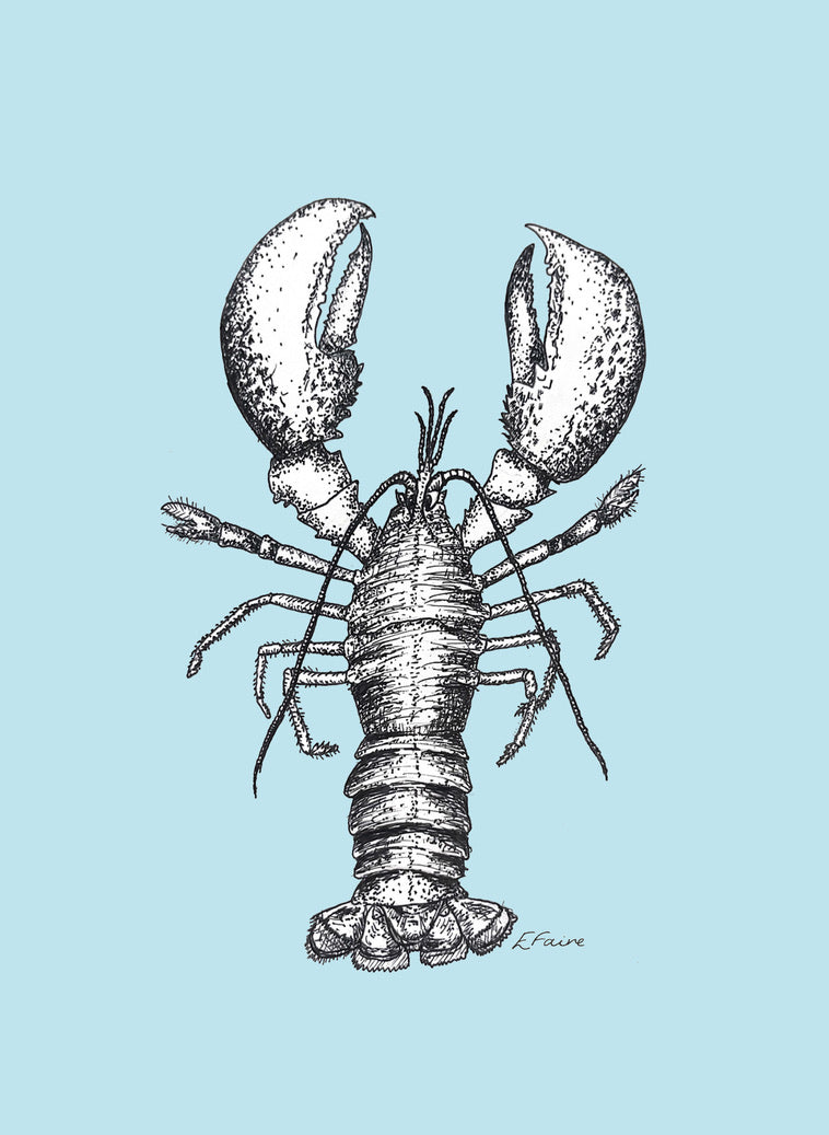 5 PASTEL 'Larry' Lobster Postcards