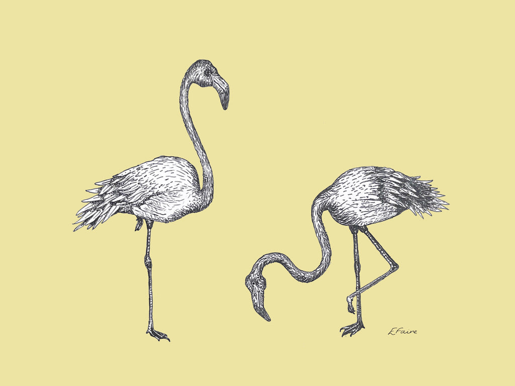 5 NEON 'Frank & Felicity' Flamingo Postcards