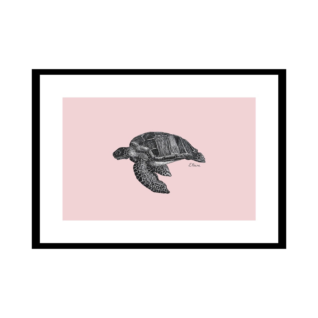 A3 'Terry' Turtle Print
