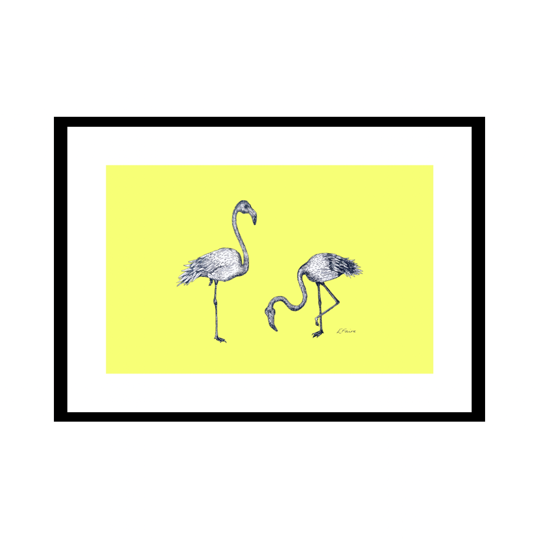 A3 'Frank & Felicity' Flamingoes Print