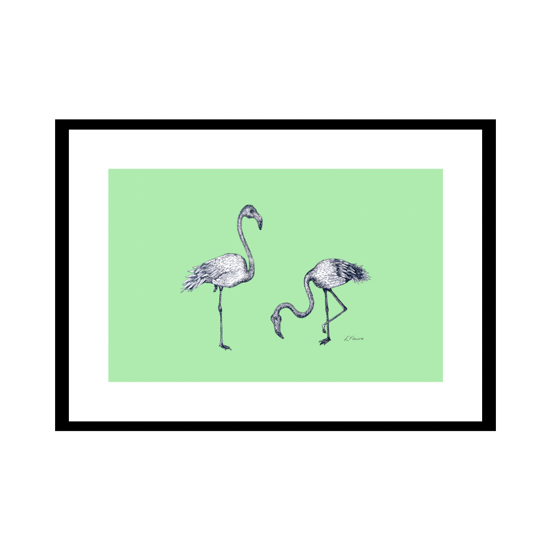 A3 'Frank & Felicity' Flamingoes Print