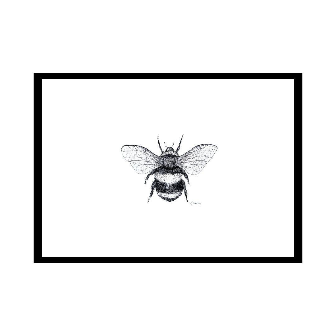 A3 'Belinda' Bumblebee Print