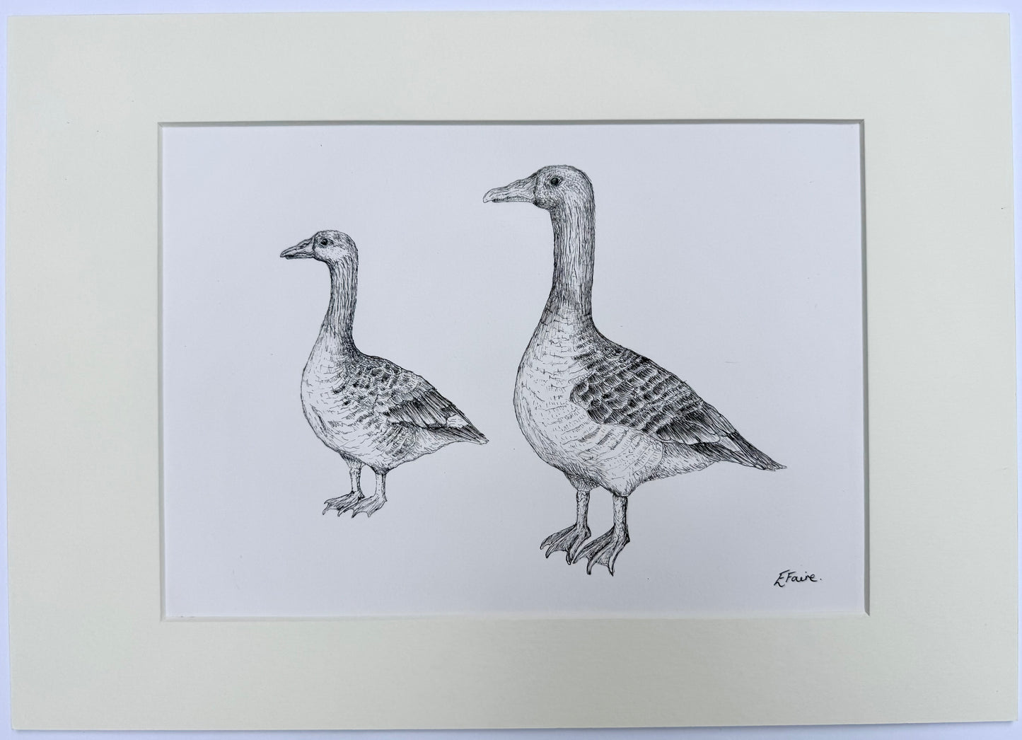 Greylag Geese Original Mounted Artwork