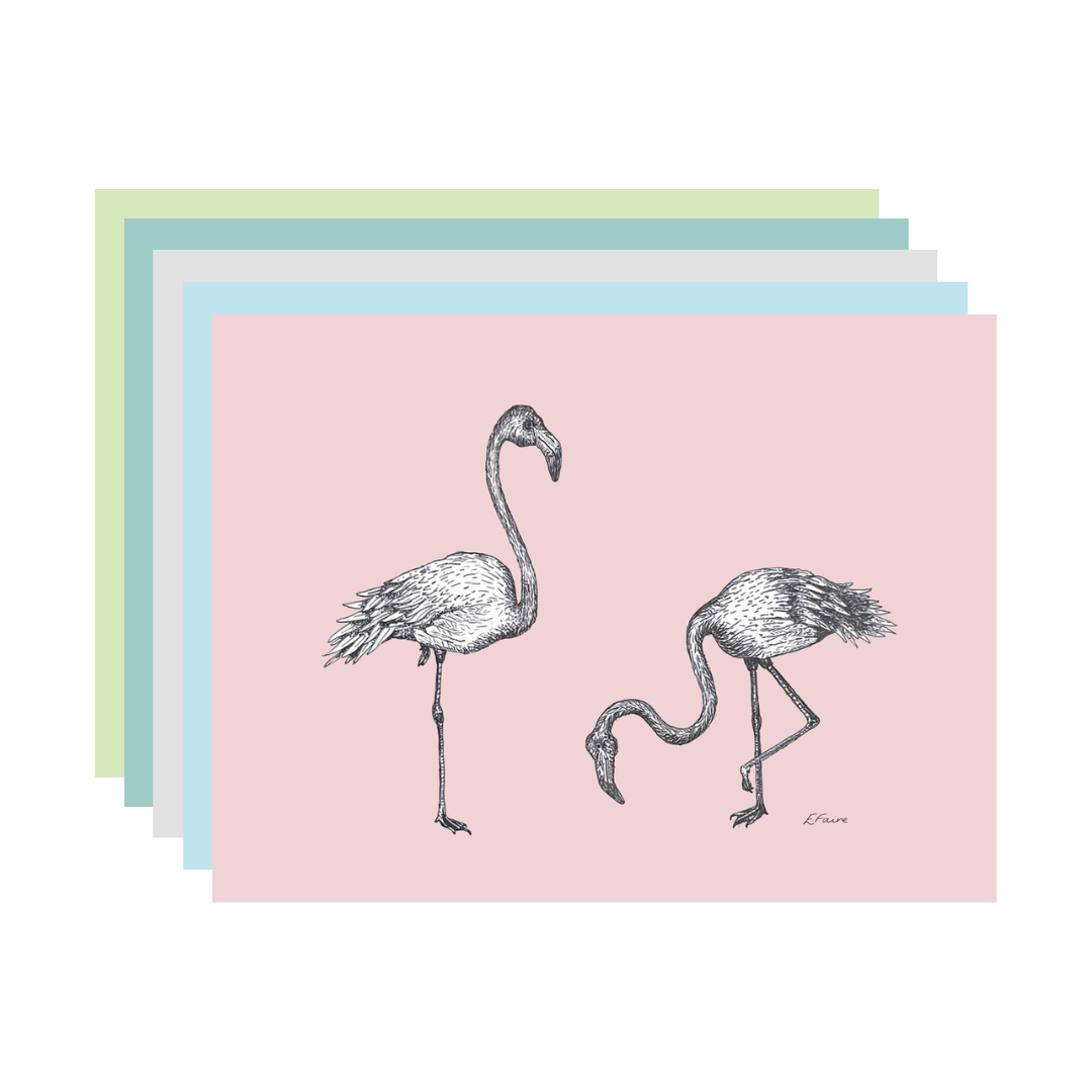 5 PASTEL 'Frank & Felicity' Flamingo Postcards