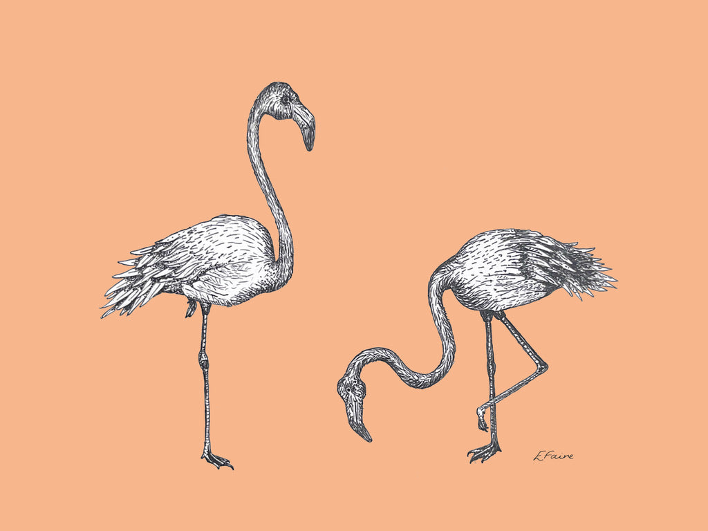 5 NEON 'Frank & Felicity' Flamingo Postcards