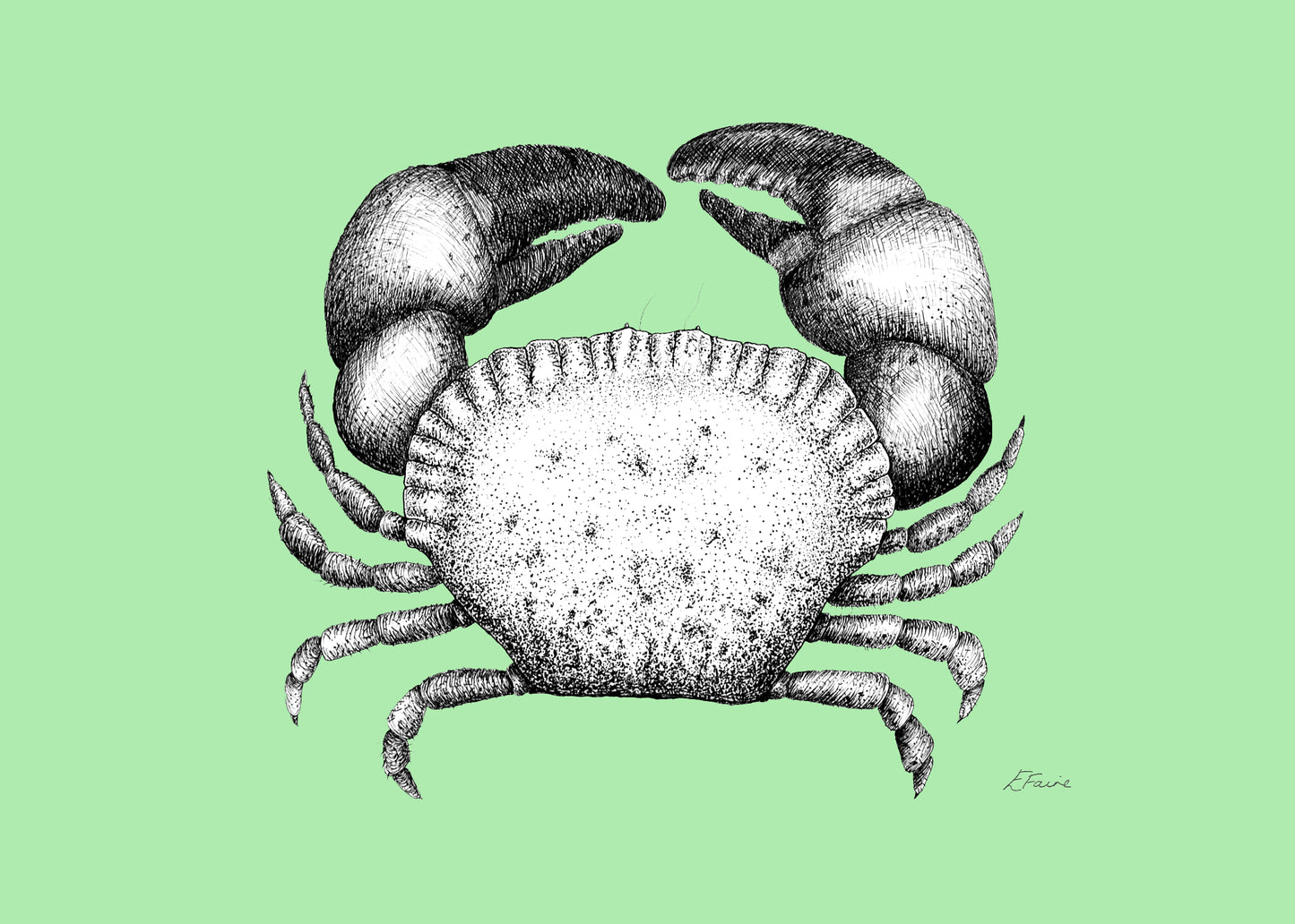 5 NEON 'Kevin' Cromer Crab Postcards