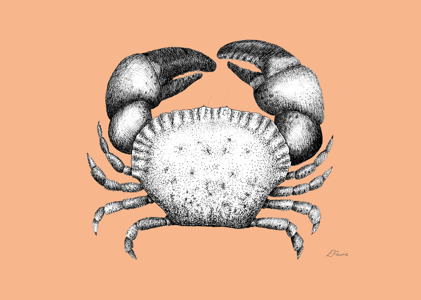 5 NEON 'Kevin' Cromer Crab Postcards