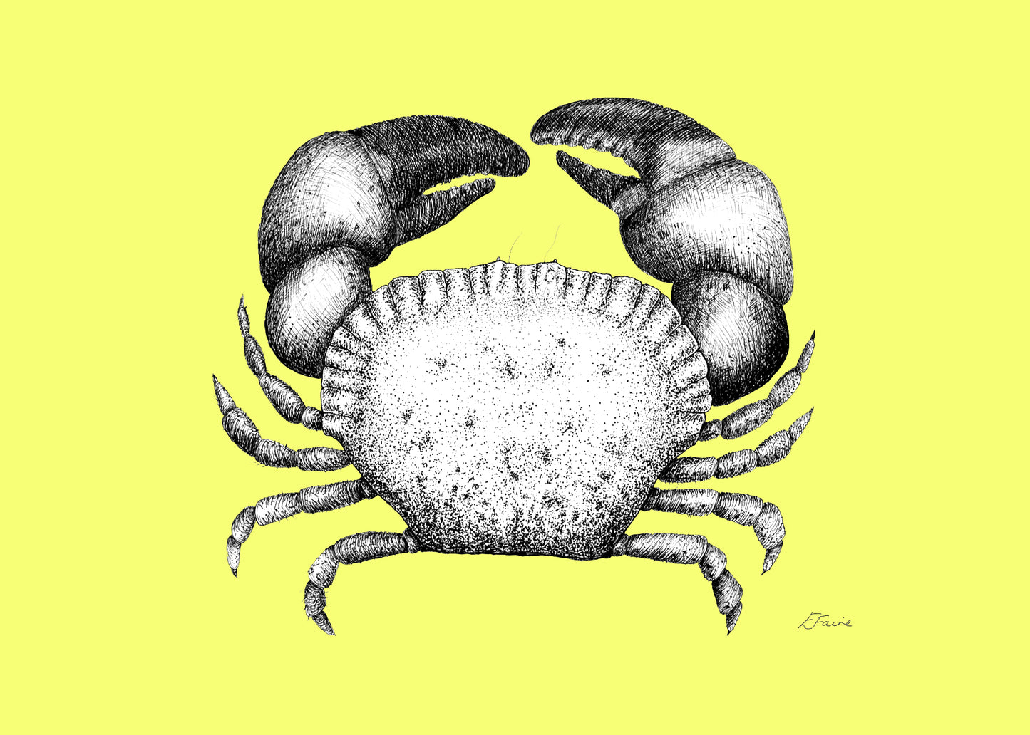 5 NEON 'Kevin' Cromer Crab Postcards