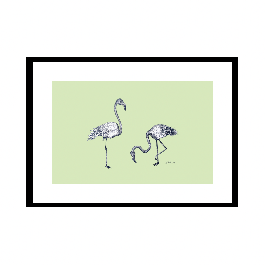 A3 'Frank & Felicity' Flamingoes Print
