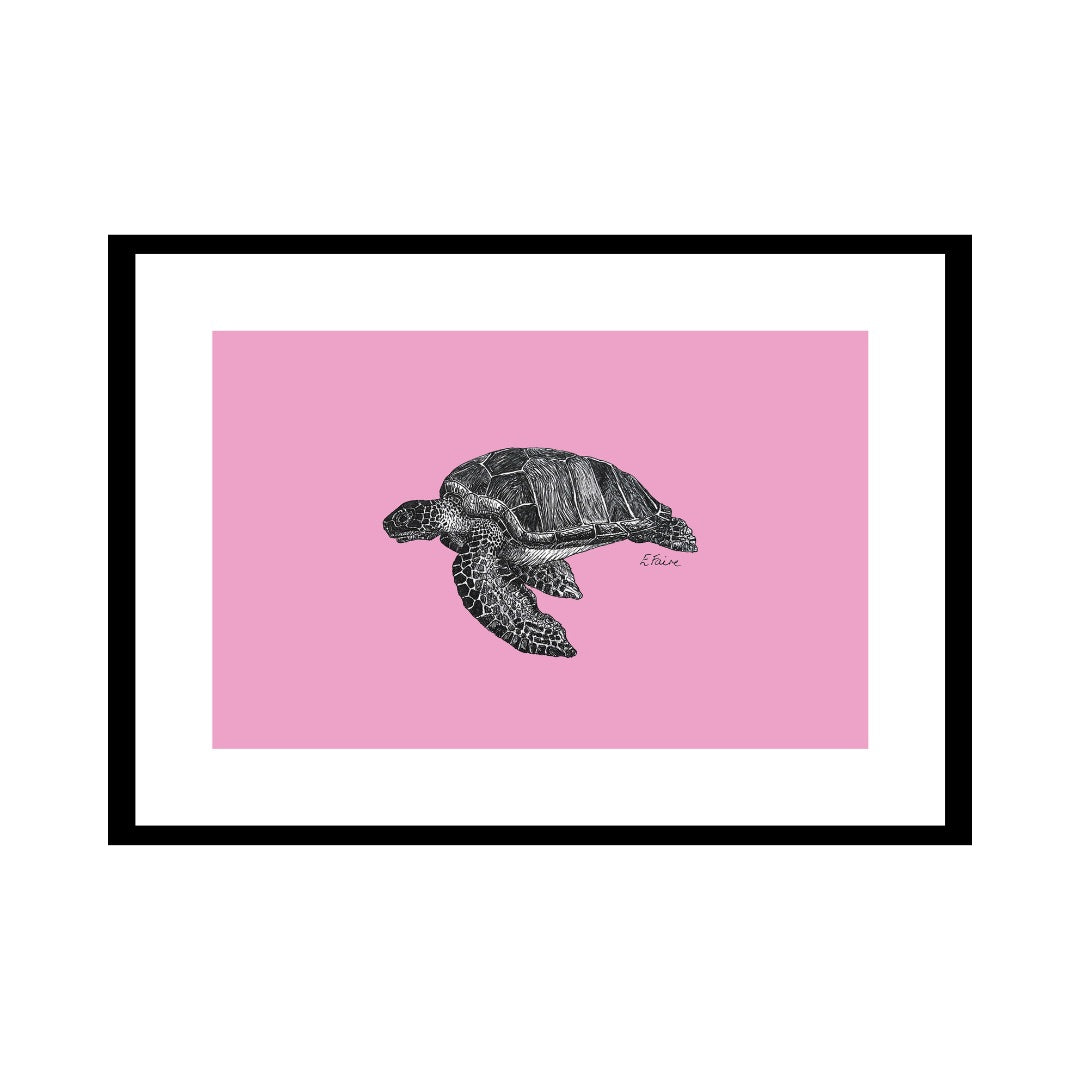 A3 'Terry' Turtle Print