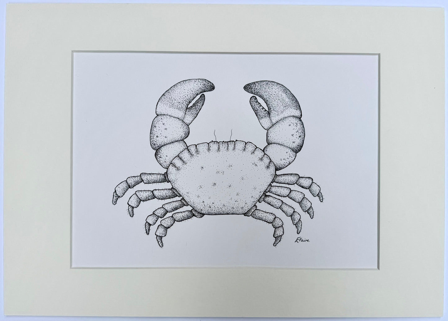 Crab Original Mounted Artwork